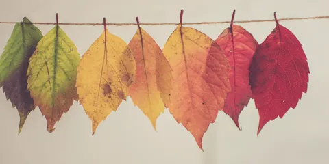 3 ukendte og interaktive retrospektive ideer i Scrum
