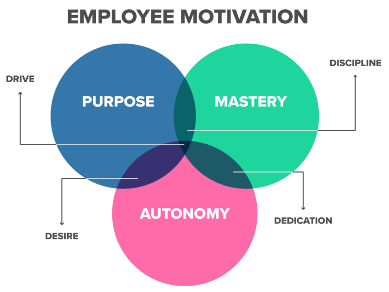 drive model intrinsic motivation