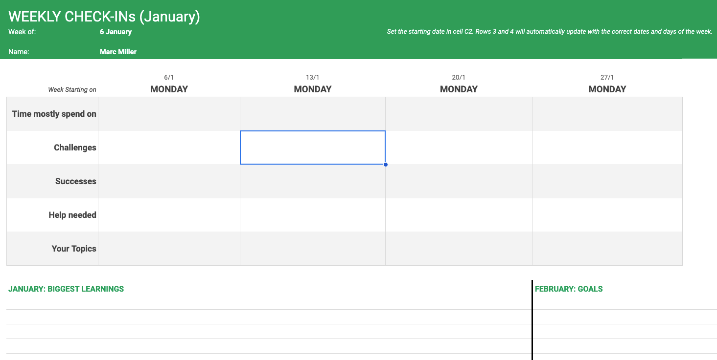 Weekly Check-In Template Excel XLSX