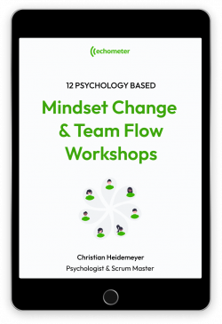 E-kirjan esikatselu 12 psykologiaan perustuvaan Mindset and Team flow -työpajaan.