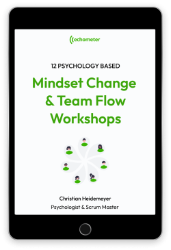 eBook preview voor 12 op psychologie gebaseerde Mindset en Team flow workshops